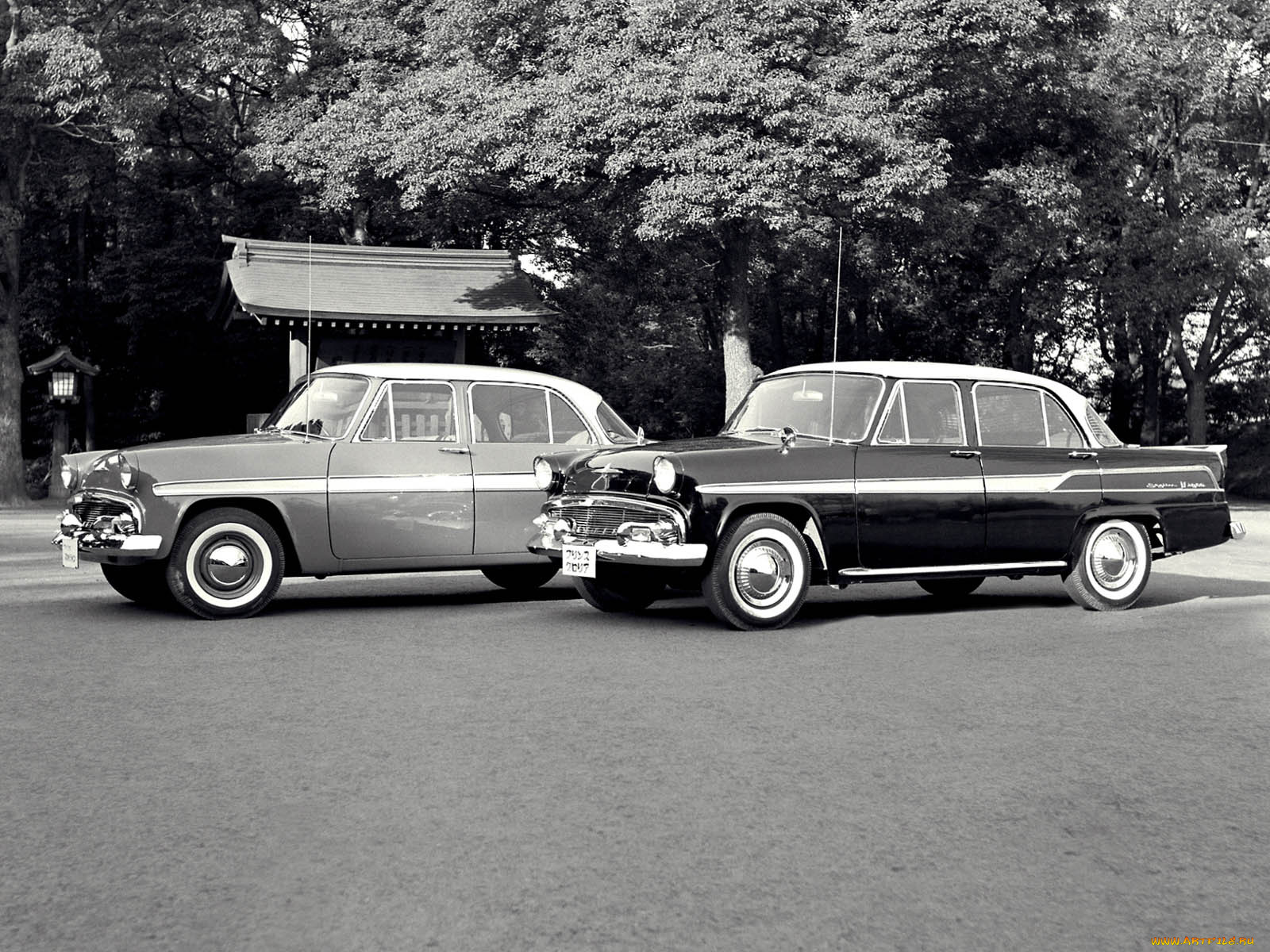 , nissan, datsun